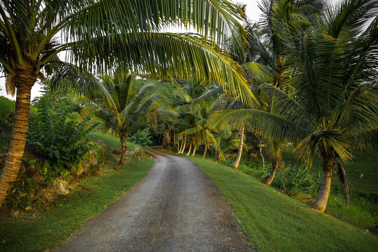 Plug For Jamaica What You Need To Know Plug Travel Guide Plug